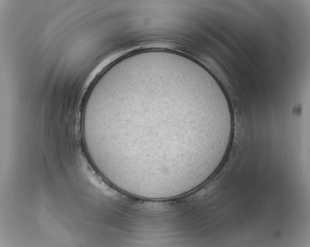 X0000112821044200909111318