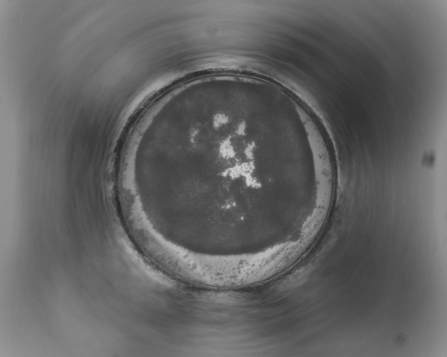 X0000112821045200909111318