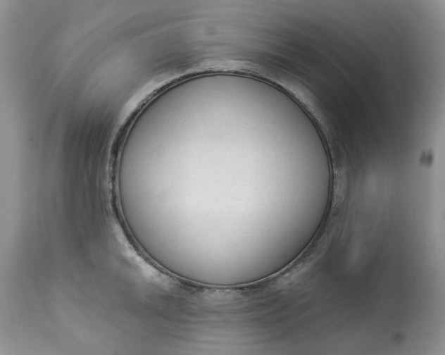 X0000112821046200909111318