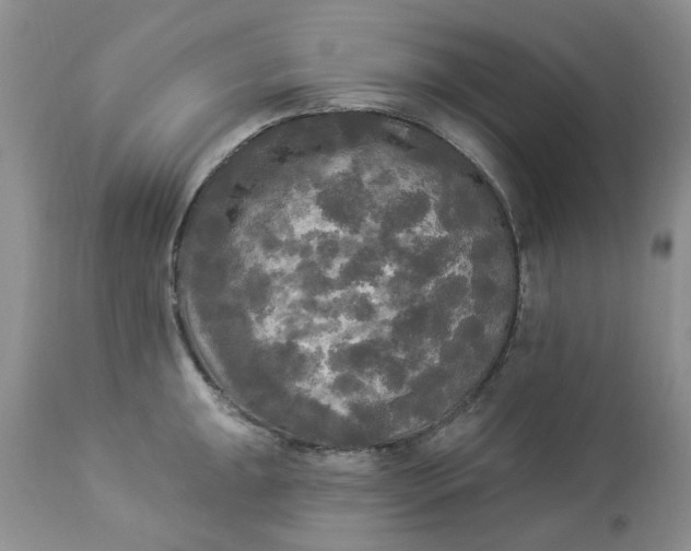 X0000112821047200909111318