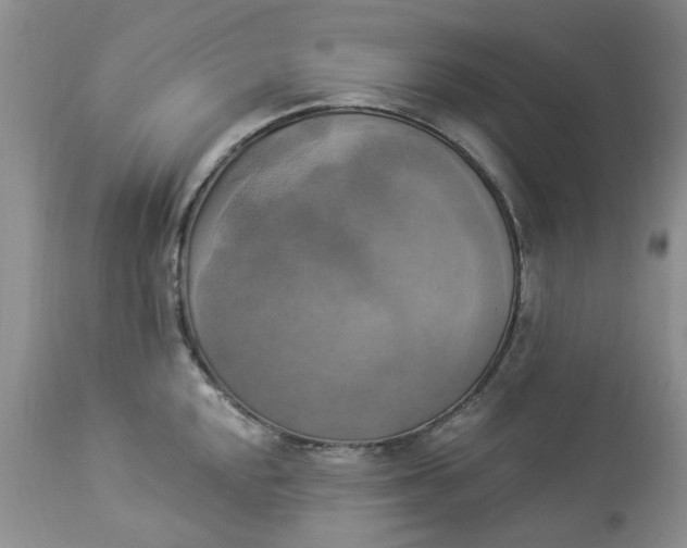 X0000112821048200909111318