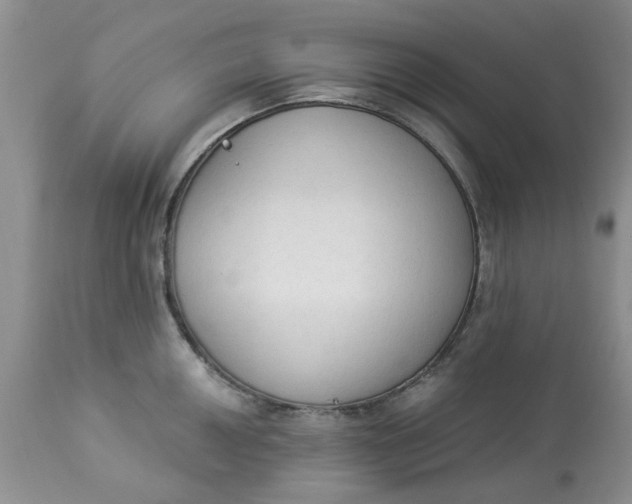 X0000112821050200909111318