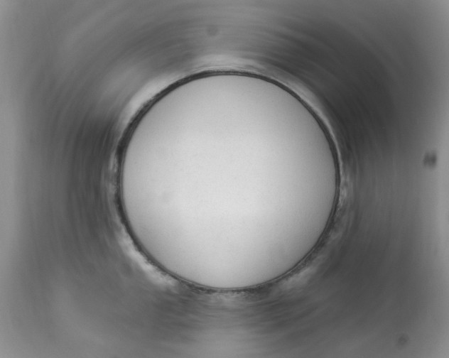 X0000112821053200909111318