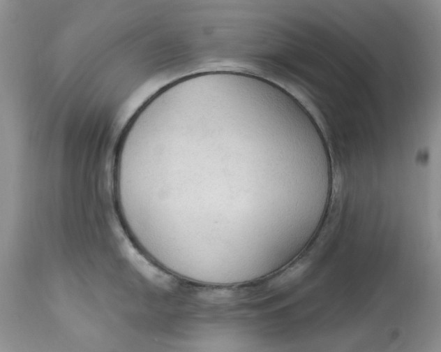 X0000112821054200909111318