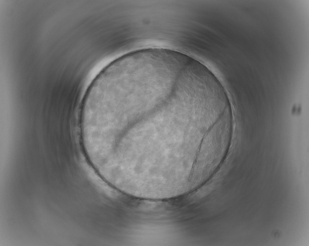 X0000112821056200909111318