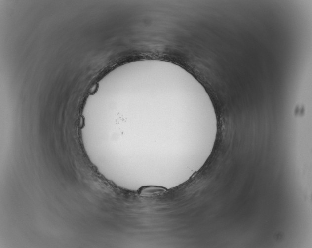 X0000112821057200909111317