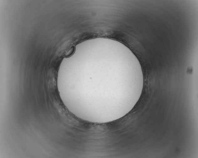 X0000112821058200909111317