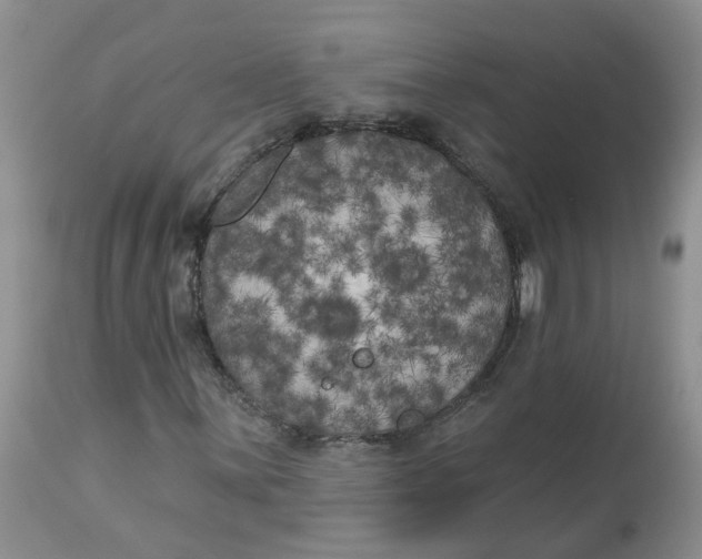 X0000112821059200909111317