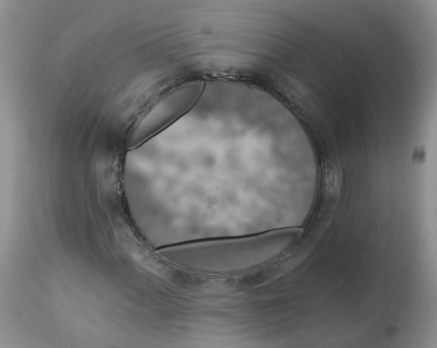 X0000112821060200909111317