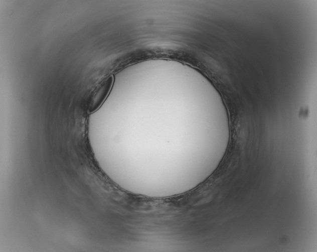 X0000112821061200909111317