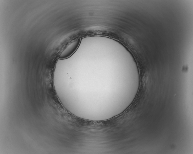 X0000112821062200909111317