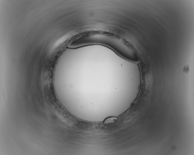 X0000112821064200909111317