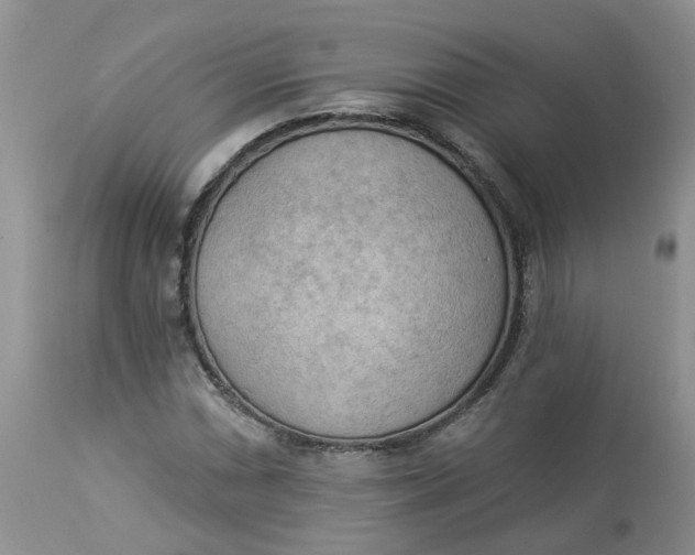 X0000112821066200909111317