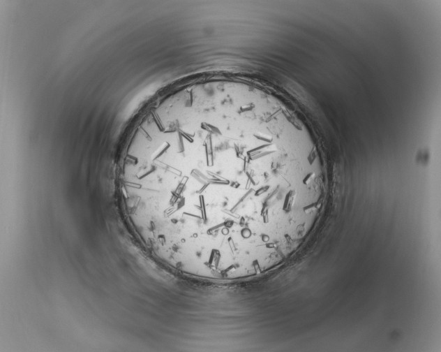 X0000112821067200909111317