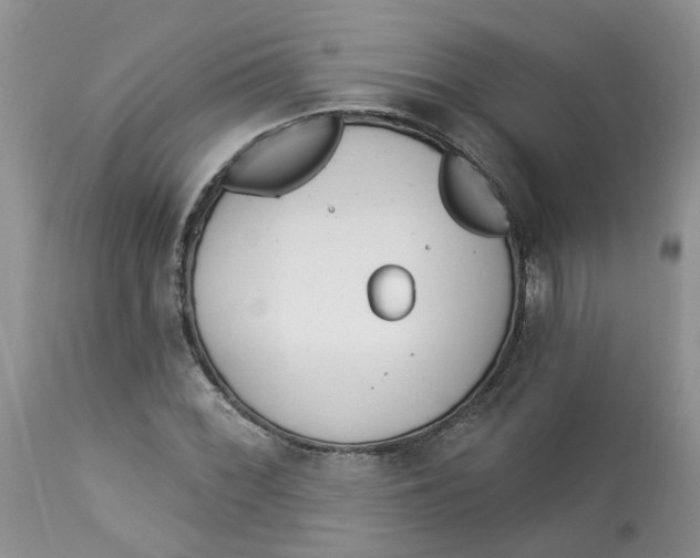 X0000112821068200909111317