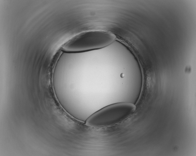 X0000112821069200909111317