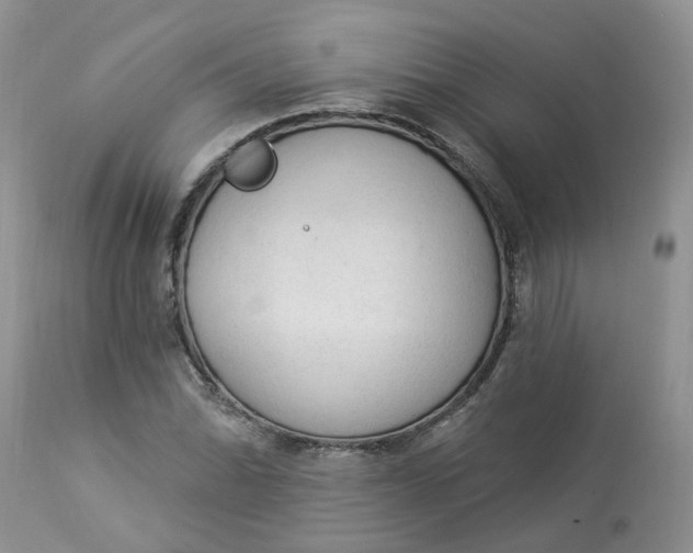 X0000112821070200909111317