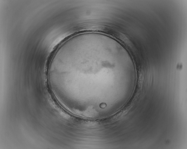 X0000112821071200909111317