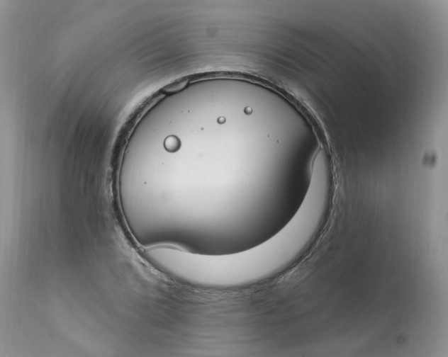 X0000112821072200909111317