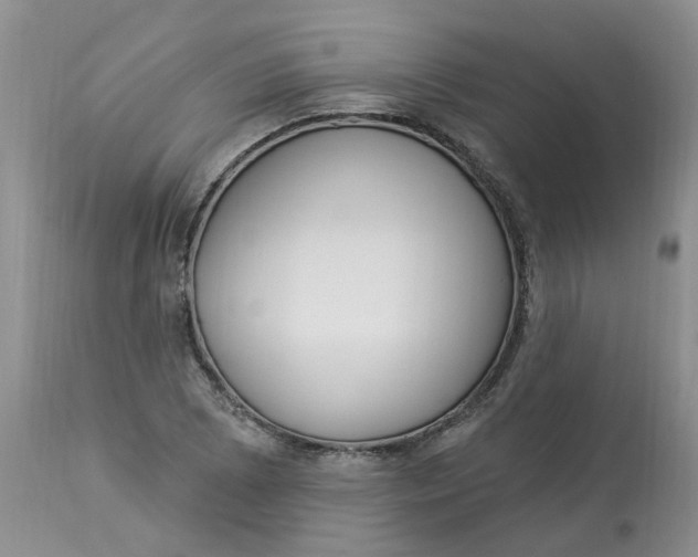 X0000112821073200909111317