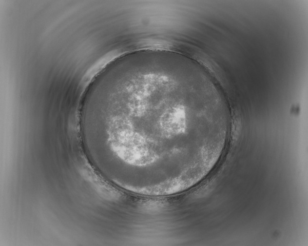 X0000112821074200909111317