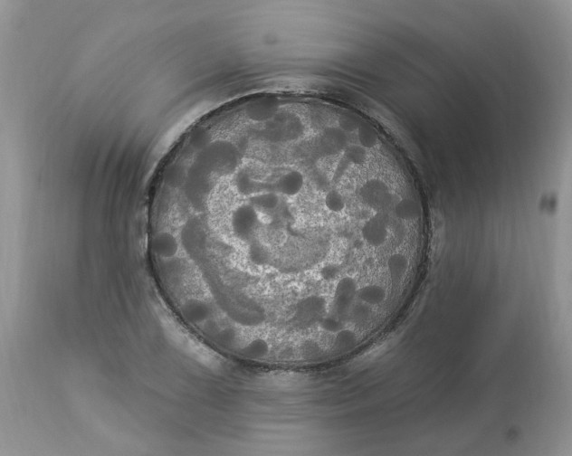 X0000112821075200909111317