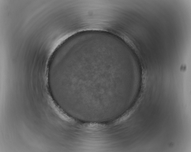 X0000112821077200909111317