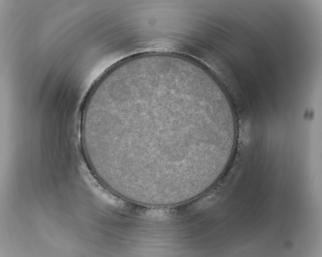 X0000112821078200909111317