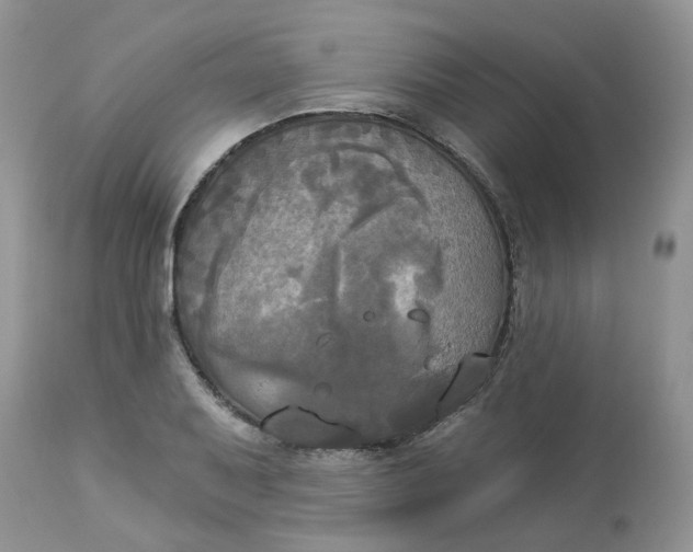 X0000112821079200909111317