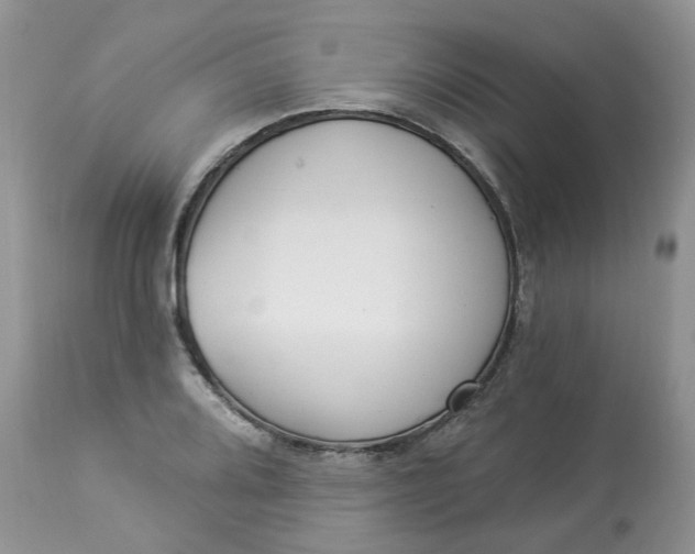 X0000112821080200909111317