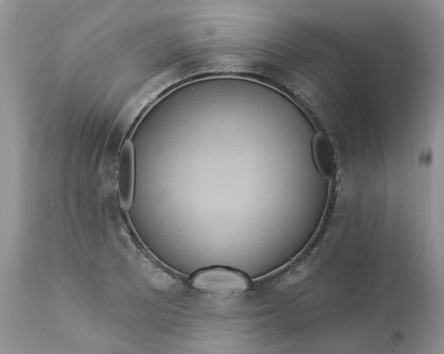 X0000112821081200909111317