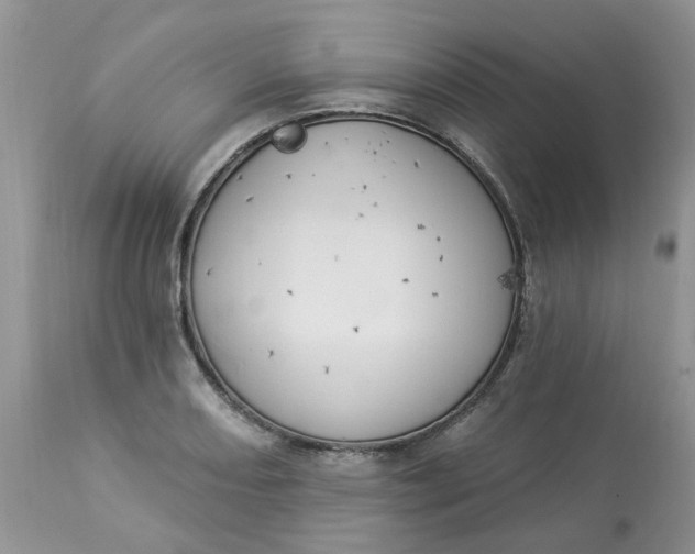 X0000112821082200909111317