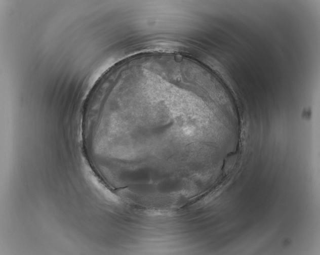 X0000112821083200909111317