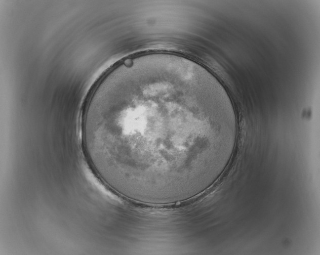 X0000112821084200909111317