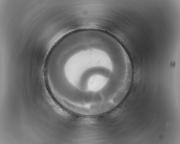 X0000112821086200909111317