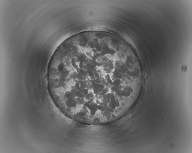 X0000112821087200909111317