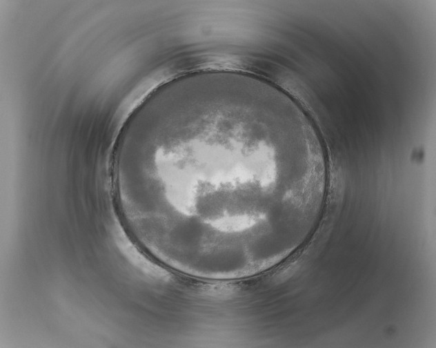 X0000112821090200909111316