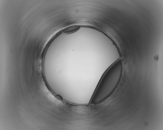 X0000112821092200909111316