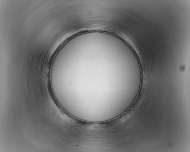 X0000112821093200909111316