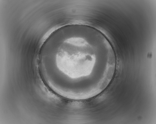 X0000112821094200909111316