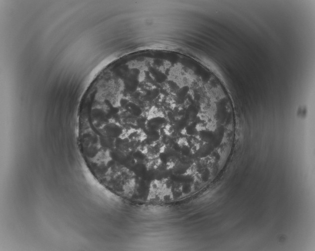 X0000112821095200909111316