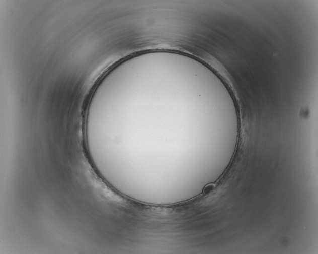 X0000112821096200909111316