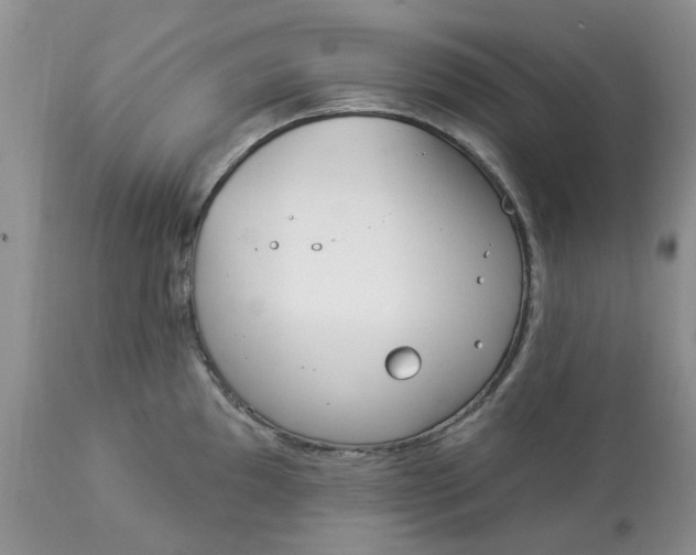 X0000112821097200909111316