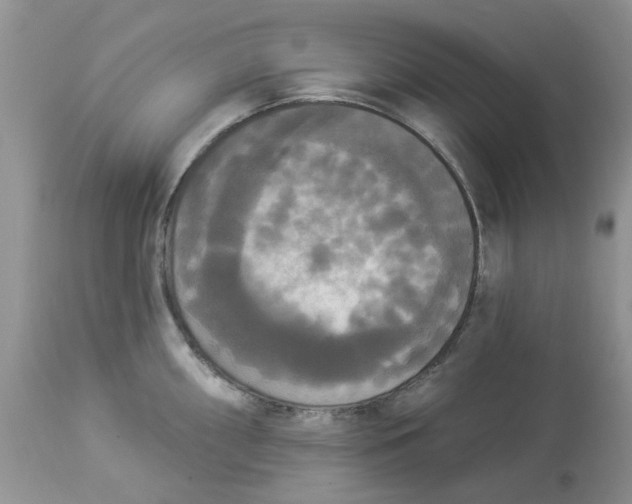 X0000112821098200909111316