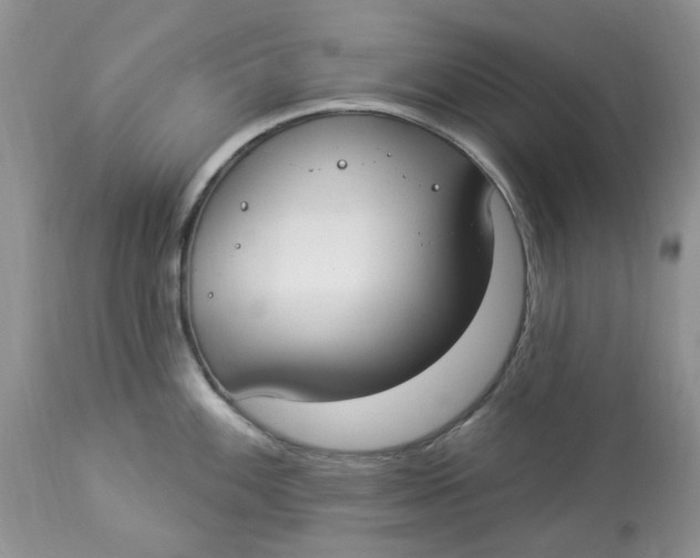 X0000112821100200909111316