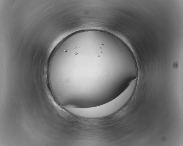 X0000112821101200909111316