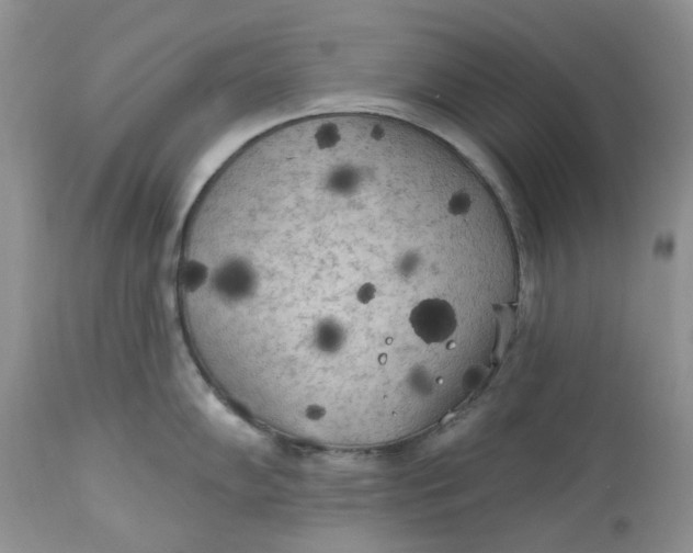 X0000112821102200909111316