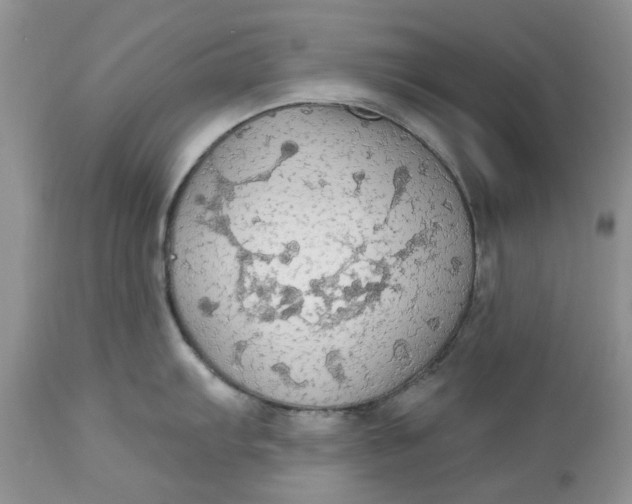 X0000112821103200909111316