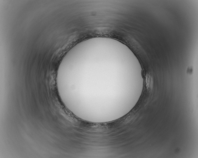 X0000112821107200909111316