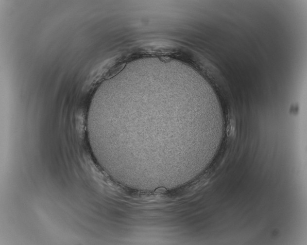 X0000112821108200909111316